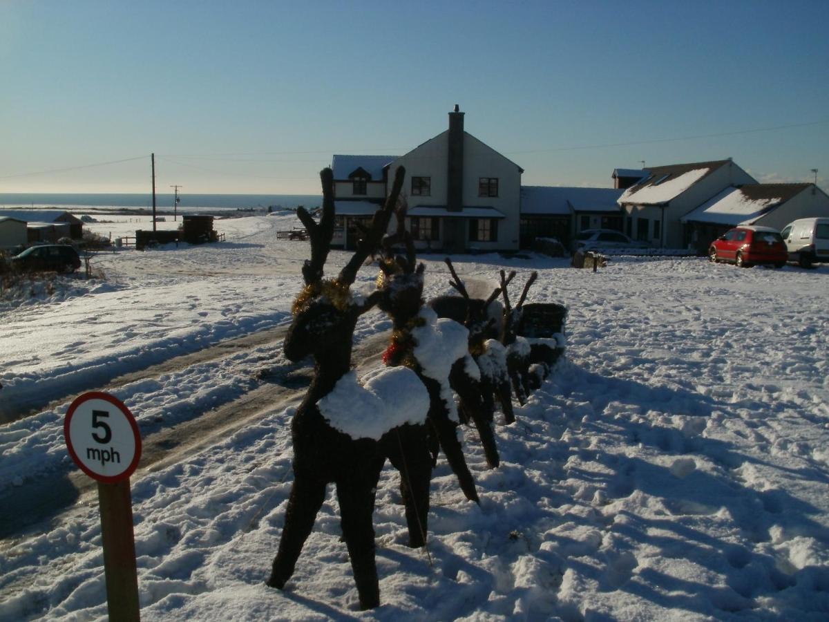 Bed and Breakfast Blackthorn Farm Холихед Экстерьер фото